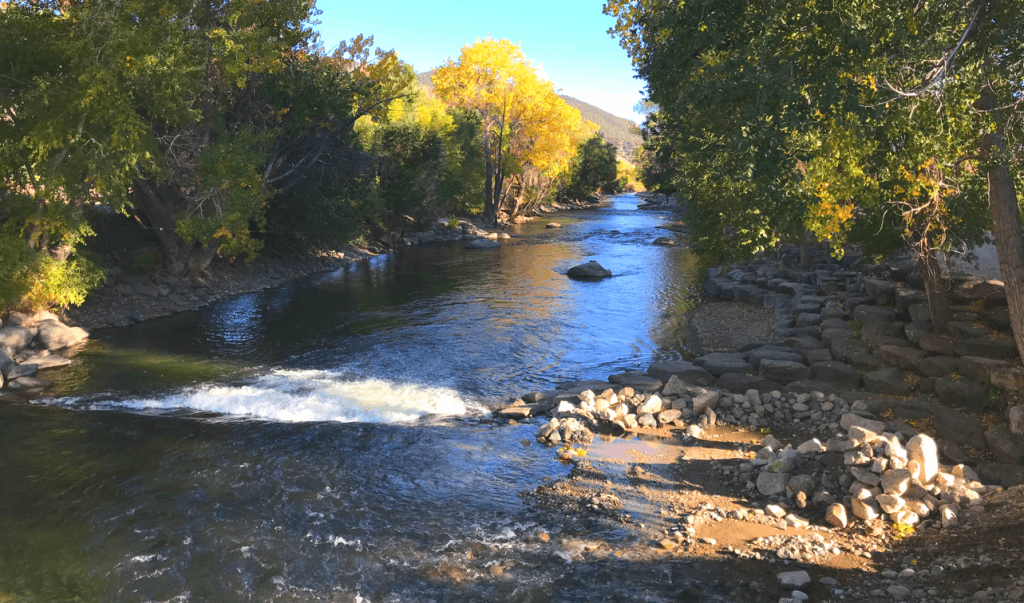 River debris